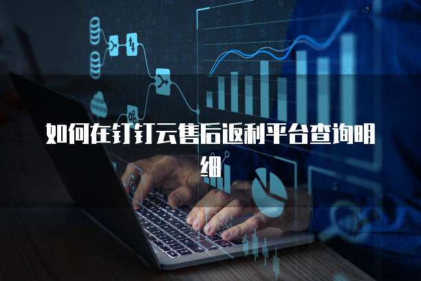 如何在钉钉云售后返利平台查询明细