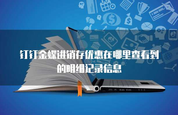 钉钉金蝶进销存优惠在哪里查看到的明细记录信息