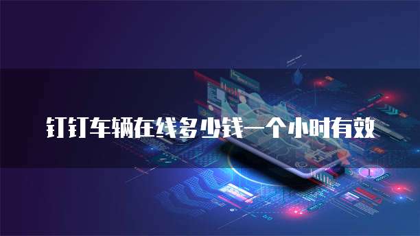 钉钉车辆在线多少钱一个小时有效