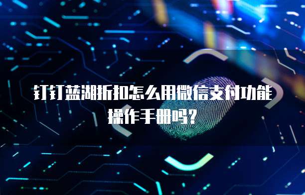 钉钉蓝湖折扣怎么用微信支付功能操作手册吗?
