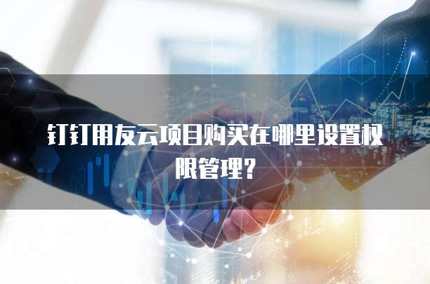 钉钉用友云项目购买在哪里设置权限管理?