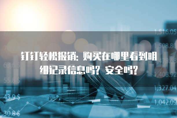 钉钉轻松报销: 购买在哪里看到明细记录信息吗? 安全吗?