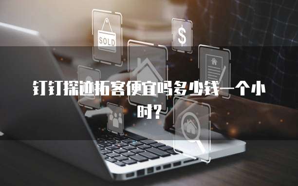 钉钉探迹拓客便宜吗多少钱一个小时?
