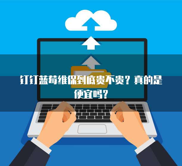 钉钉蓝莓维保到底贵不贵?真的是便宜吗?