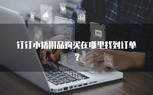钉钉小猪用品购买在哪里找到订单?