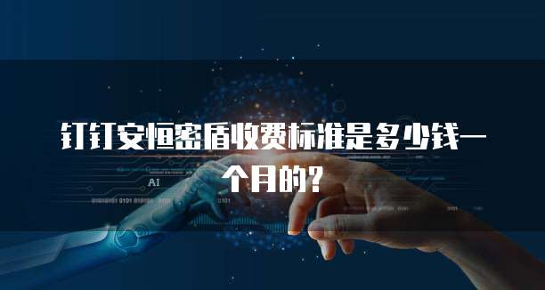 钉钉安恒密盾收费标准是多少钱一个月的?