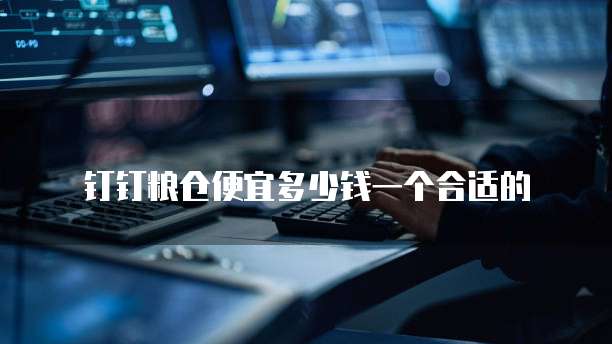 钉钉粮仓便宜多少钱一个合适的