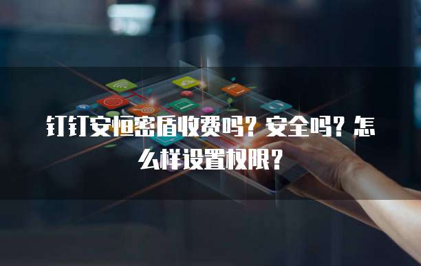 钉钉安恒密盾收费吗?安全吗?怎么样设置权限?