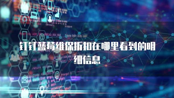 钉钉蓝莓维保折扣在哪里看到的明细信息