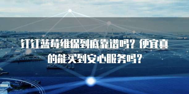 钉钉蓝莓维保到底靠谱吗?便宜真的能买到安心服务吗?