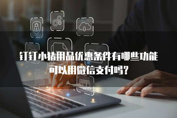 钉钉小猪用品优惠条件有哪些功能可以用微信支付吗?