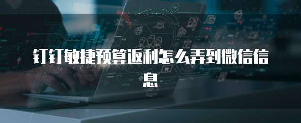 钉钉敏捷预算返利怎么弄到微信信息