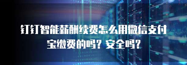 钉钉智能薪酬续费怎么用微信支付宝缴费的吗?安全吗?