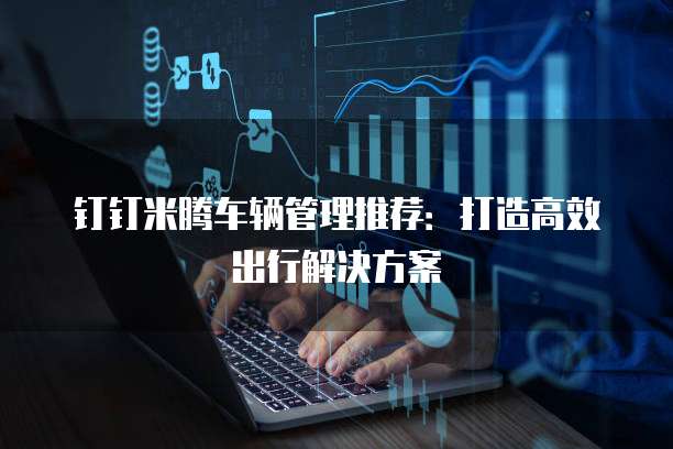 钉钉米腾车辆管理推荐:打造高效出行解决方案