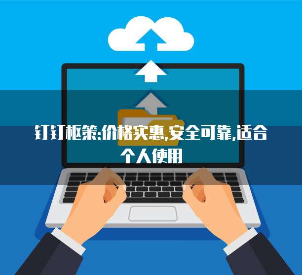钉钉枢策:价格实惠,安全可靠,适合个人使用