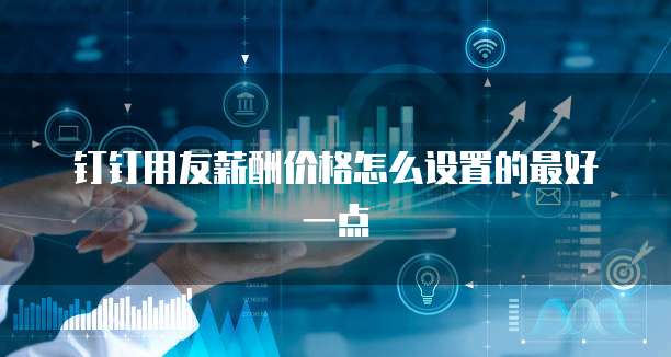 钉钉用友薪酬价格怎么设置的最好一点