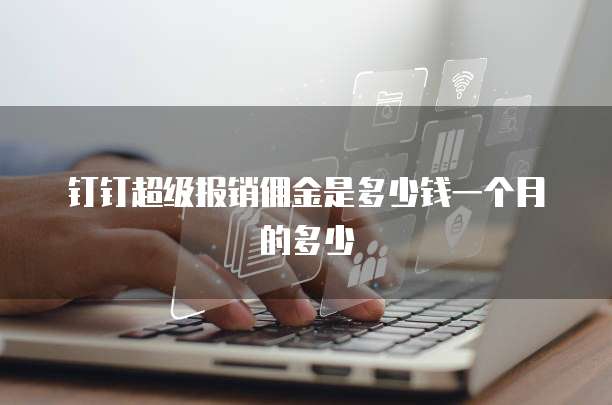 钉钉超级报销佣金是多少钱一个月的多少