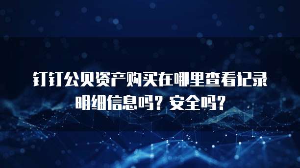 钉钉公贝资产购买在哪里查看记录明细信息吗?安全吗?