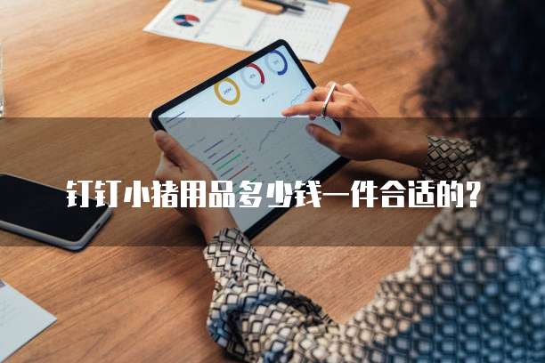 钉钉小猪用品多少钱一件合适的?