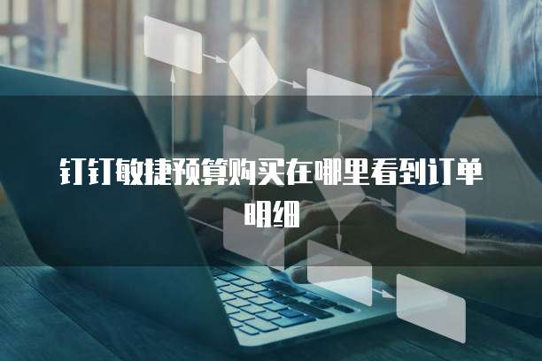 钉钉敏捷预算购买在哪里看到订单明细