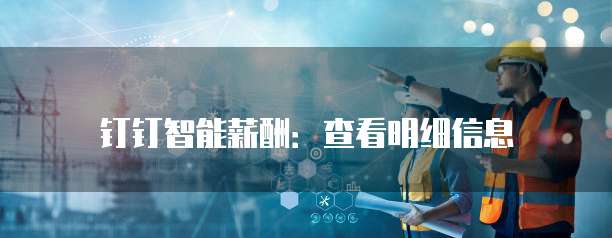 钉钉智能薪酬:查看明细信息