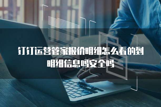 钉钉运营管家报价明细怎么看的到明细信息吗安全吗