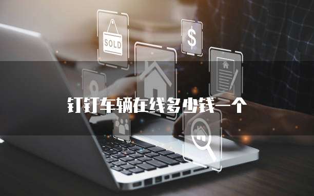 钉钉车辆在线多少钱一个
