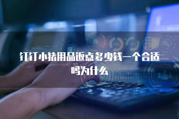 钉钉小猪用品返点多少钱一个合适吗为什么
