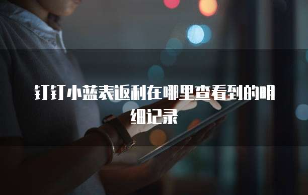 钉钉小蓝表返利在哪里查看到的明细记录
