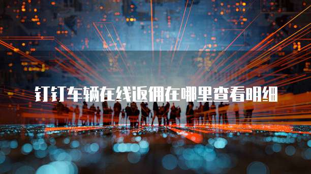 钉钉车辆在线返佣在哪里查看明细