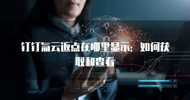 钉钉氚云返点在哪里显示:如何获取和查看