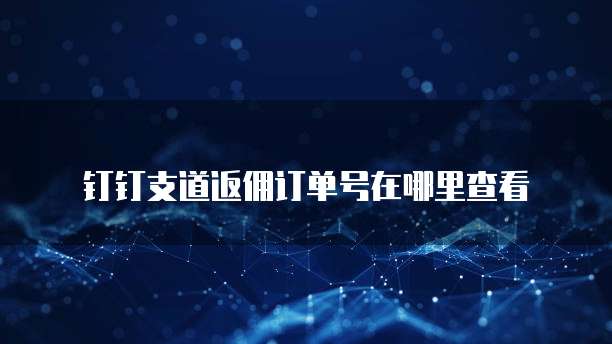 钉钉支道返佣订单号在哪里查看