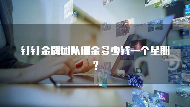 钉钉金牌团队佣金多少钱一个星期?
