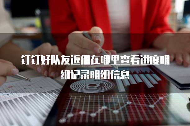钉钉好队友返佣在哪里查看进度明细记录明细信息