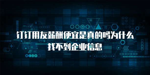 钉钉用友薪酬便宜是真的吗为什么找不到企业信息