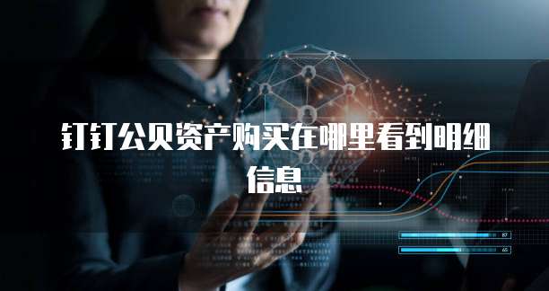 钉钉公贝资产购买在哪里看到明细信息