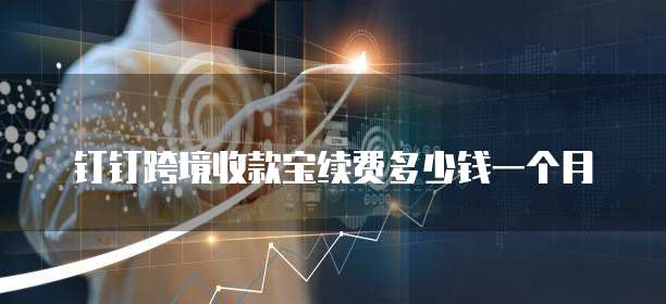 钉钉跨境收款宝续费多少钱一个月