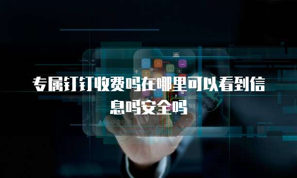 专属钉钉收费吗在哪里可以看到信息吗安全吗