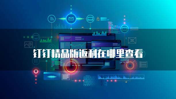 钉钉精品版返利在哪里查看