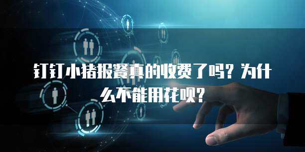 钉钉小猪报餐真的收费了吗?为什么不能用花呗?