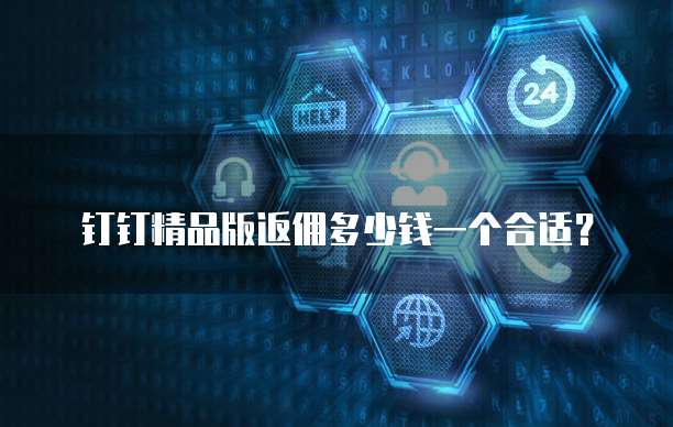 钉钉精品版返佣多少钱一个合适?