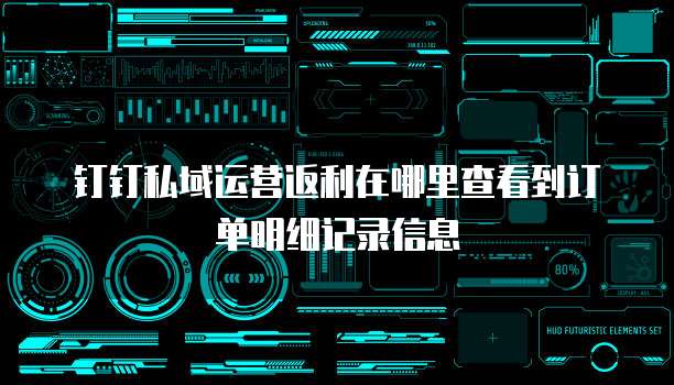 钉钉私域运营返利在哪里查看到订单明细记录信息
