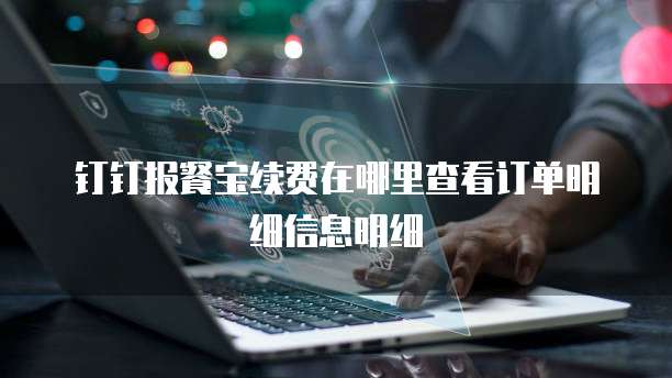 钉钉报餐宝续费在哪里查看订单明细信息明细