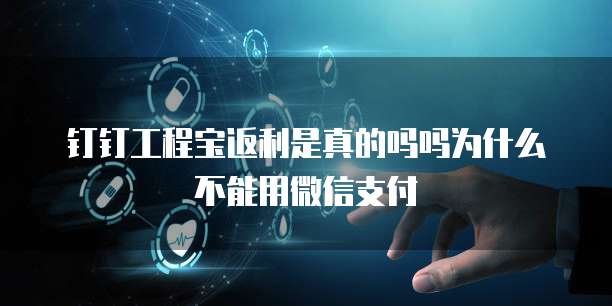 钉钉工程宝返利是真的吗吗为什么不能用微信支付