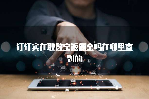 钉钉实在取数宝返佣金吗在哪里查到的
