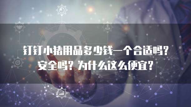 钉钉小猪用品多少钱一个合适吗?安全吗?为什么这么便宜?
