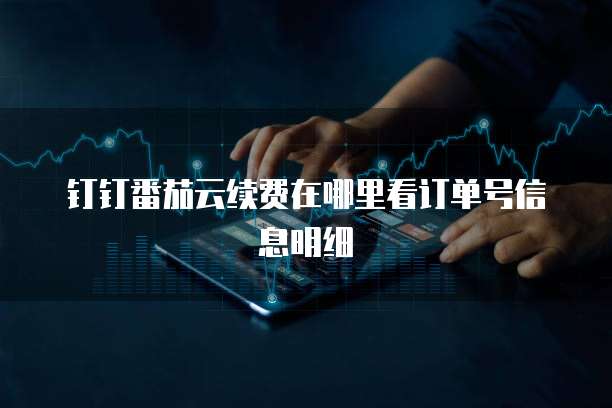 钉钉番茄云续费在哪里看订单号信息明细