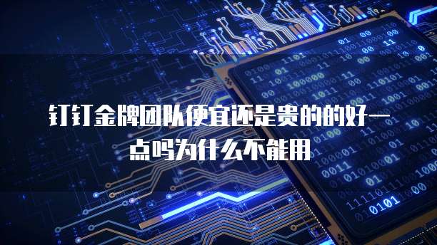钉钉金牌团队便宜还是贵的的好一点吗为什么不能用