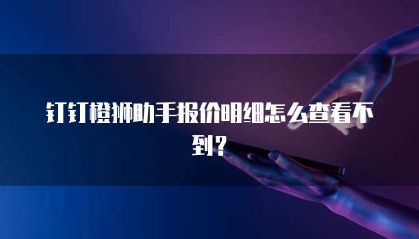 钉钉橙狮助手报价明细怎么查看不到?