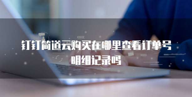 钉钉简道云购买在哪里查看订单号明细记录吗